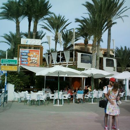 La Rosaleda Apartment Torrevieja Luaran gambar